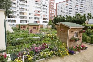 2803523_96a2e94c-bcea-11e2-bcd0-001517810e22