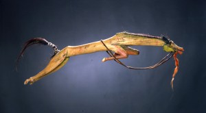 musee-quai-branly-indiens-plaines-baton-danse-cheval_large