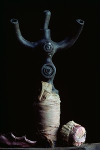 P Knapp-outil vigne06P01H