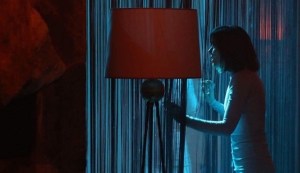 Housewife de Can Evreno